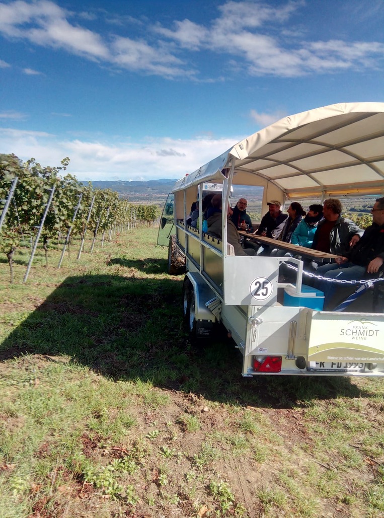 Weingut Frank Schmidt Eichstetten - Weinbergsafari